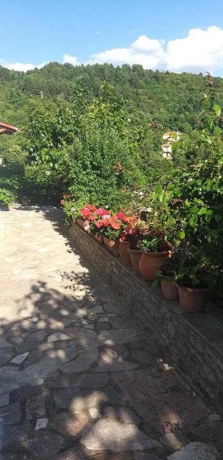 Το Σπίτι Της Ευτυχίας Στούντιο Apartman Karpeníszi Kültér fotó